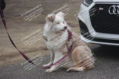 media/Jan-17-2026-VARA University (Sat) [[0e7bc3e19f]]/Around the Pits/